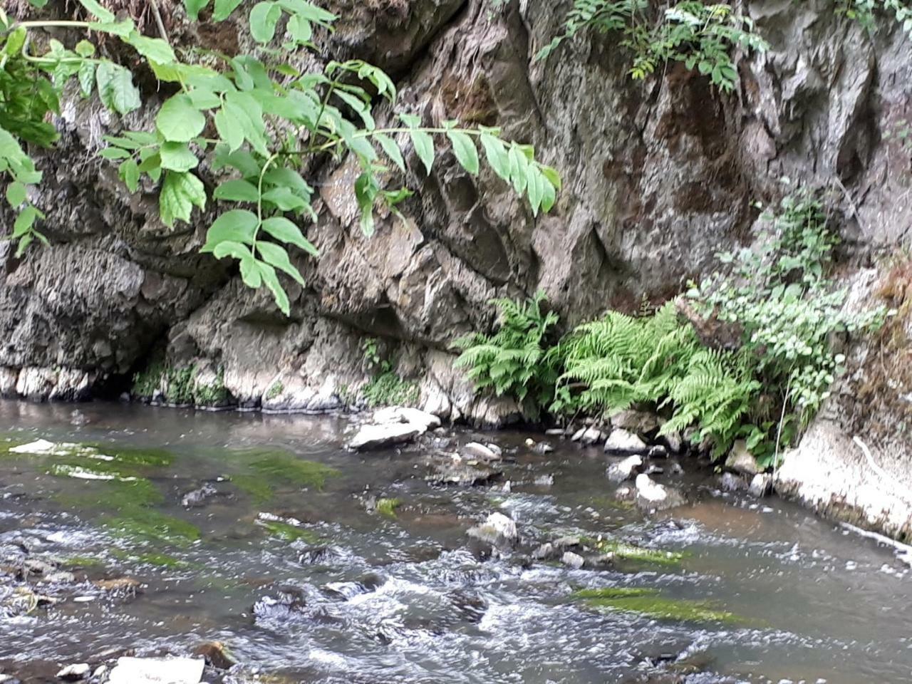 Herberg Die Alte Schleuse Manderscheid Zewnętrze zdjęcie