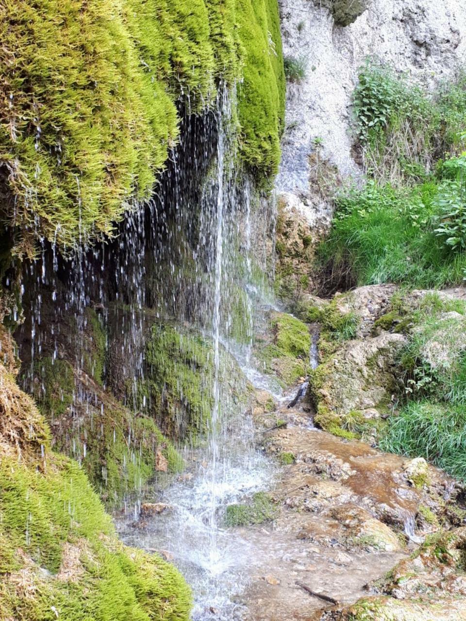 Herberg Die Alte Schleuse Manderscheid Zewnętrze zdjęcie