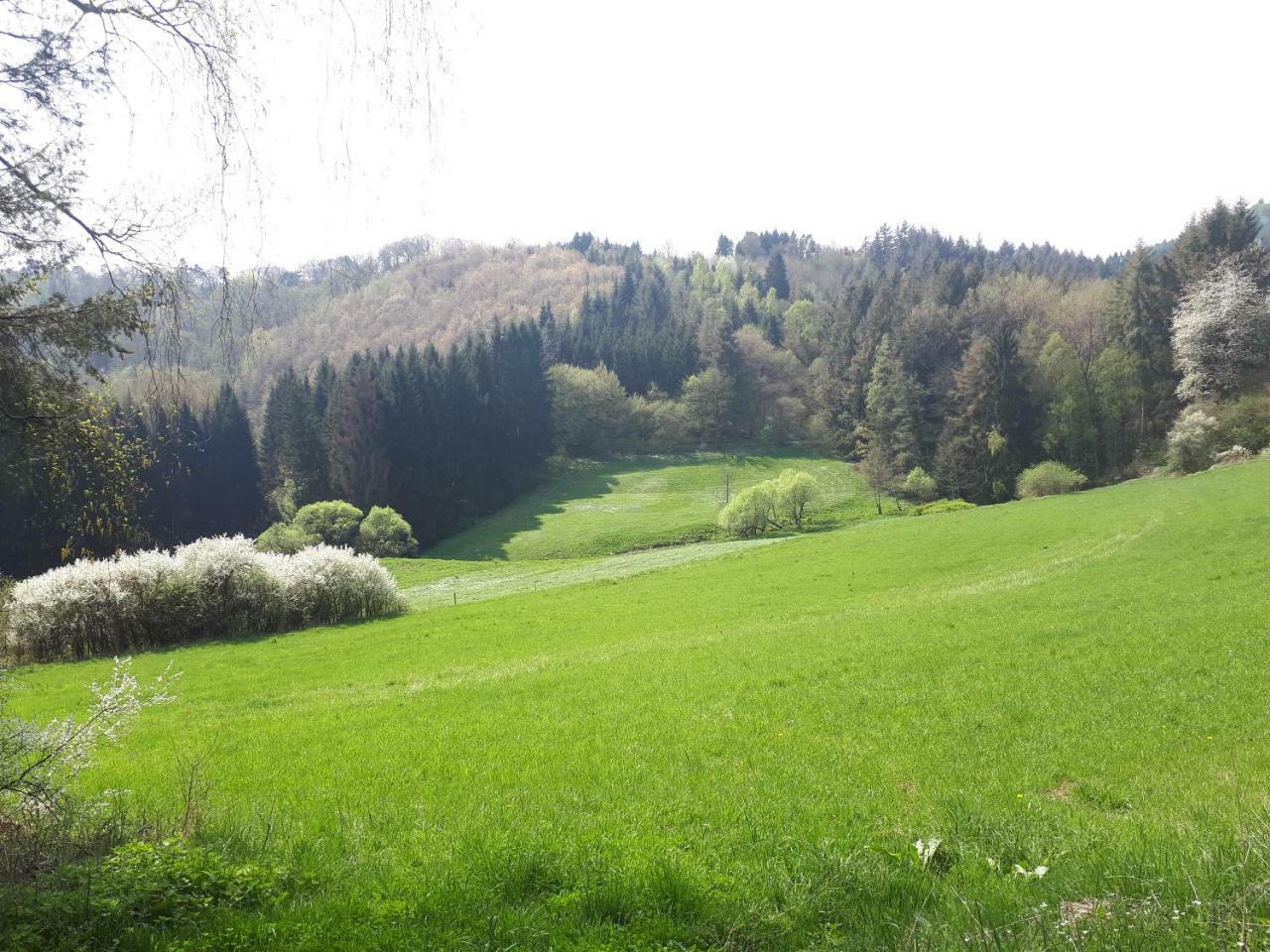 Herberg Die Alte Schleuse Manderscheid Zewnętrze zdjęcie